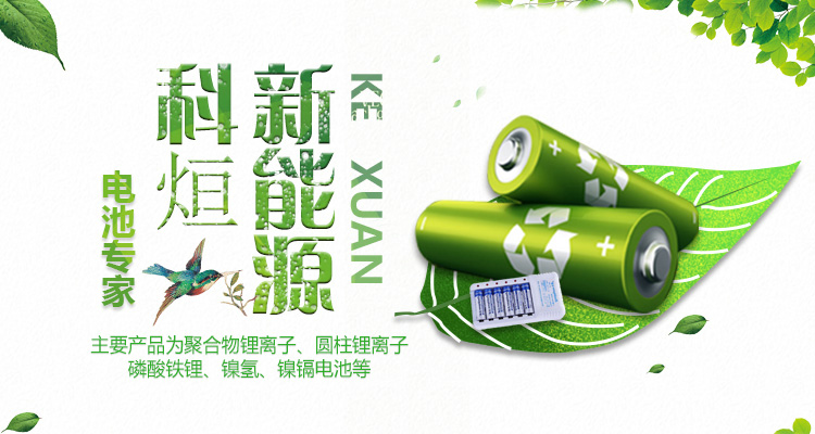 新乡尊龙凯时人生就是搏新能源科技有限公司